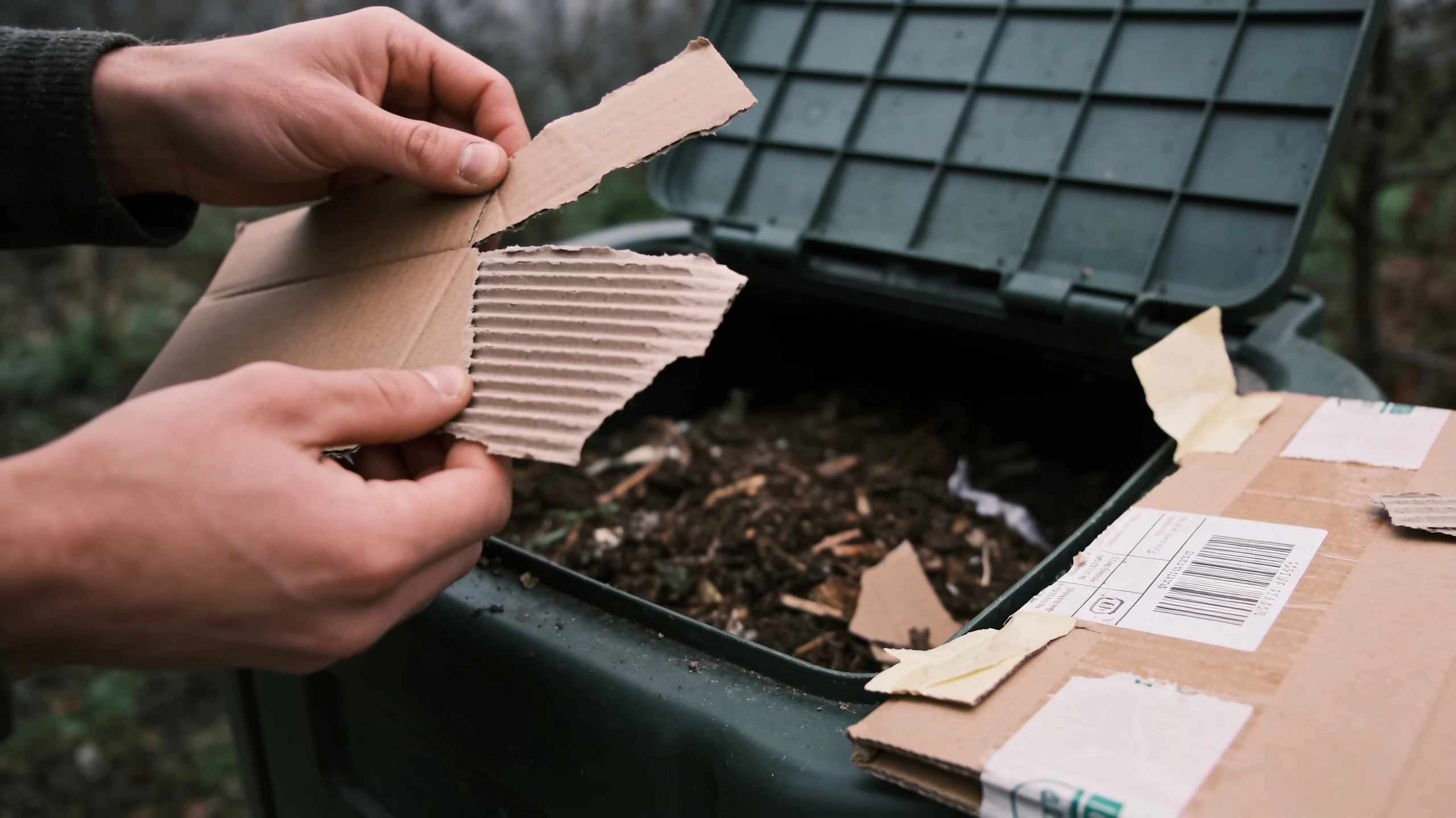 Tearing cardboard for the compost heap Hands tearing a cardboard box into rough pieces beside an open compost bin
