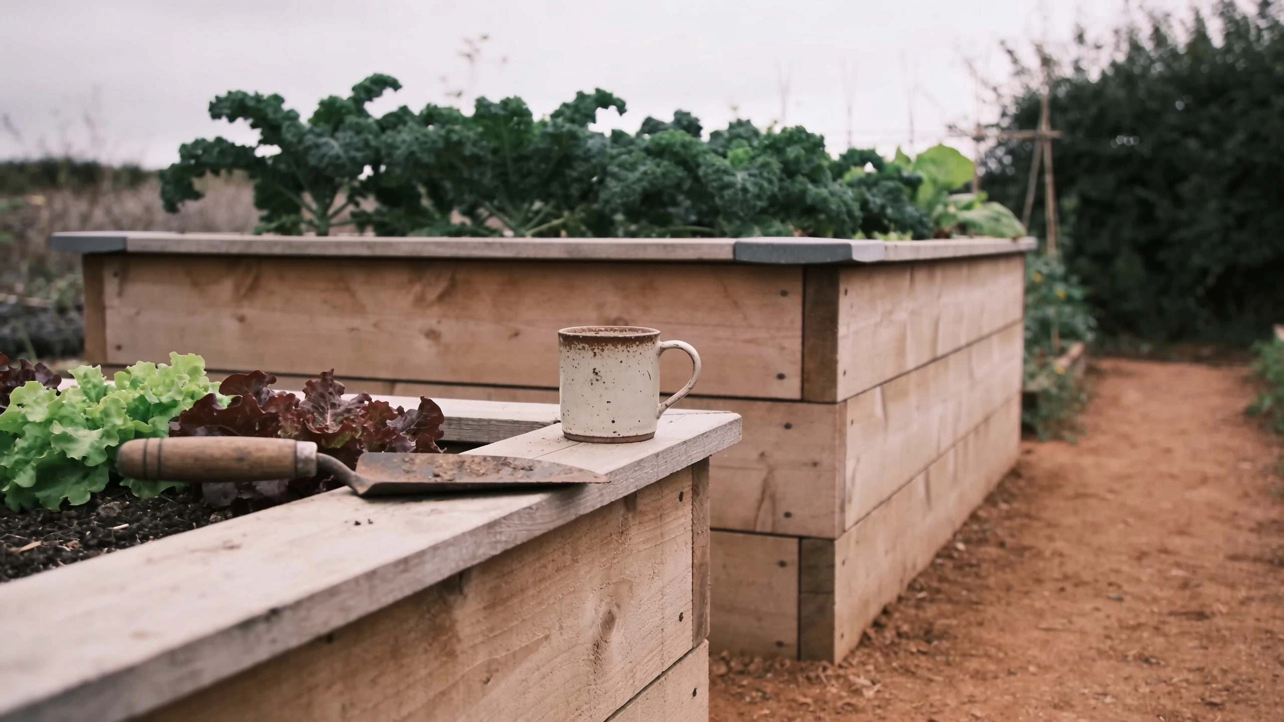 A waist height raised bed removes the bend entirely Tall timber raised bed at waist height planted with salad and herbs