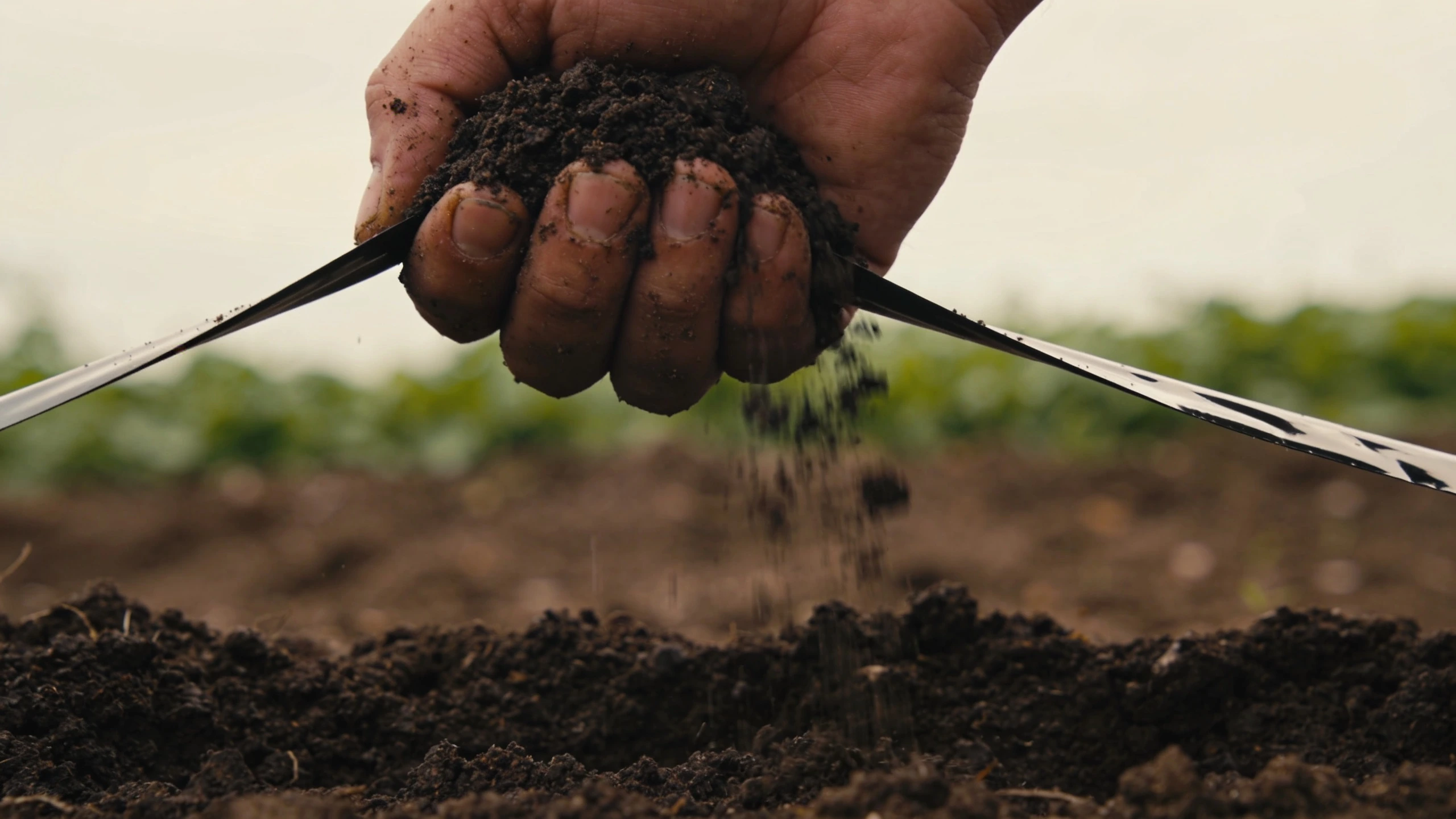 Squeezing soil to test how much clay it holds Hand squeezing damp dark soil into a shiny ribbon between finger and thumb