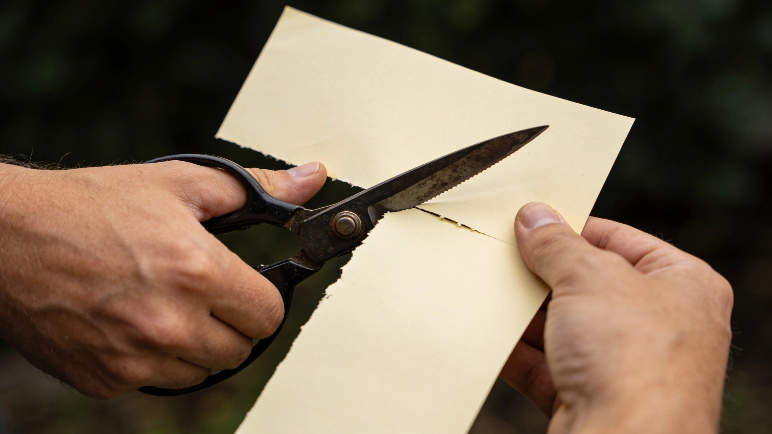 Testing secateurs on a sheet of paper Secateurs slicing cleanly through a taut sheet of paper leaving a clean edge