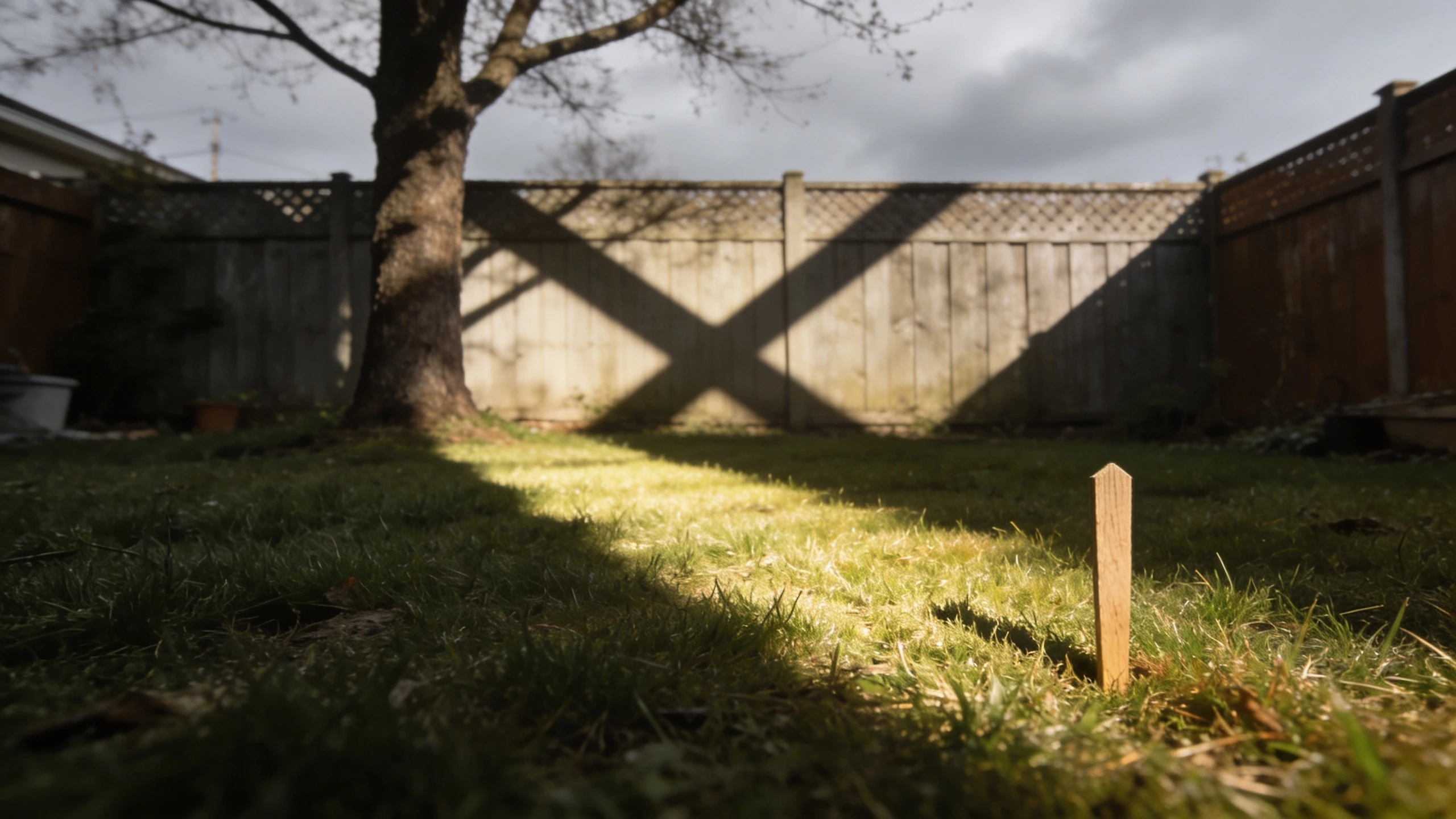 Choosing the sunniest spot for a vegetable bed Back lawn with a shadow line from a fence and one open sunlit area marked by a peg