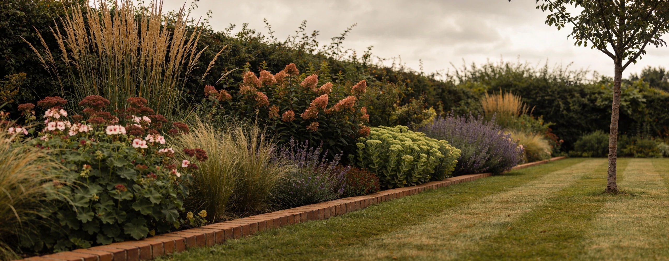 Deep border of hardy geranium, grasses, sedum and lavender with no bare soil showing