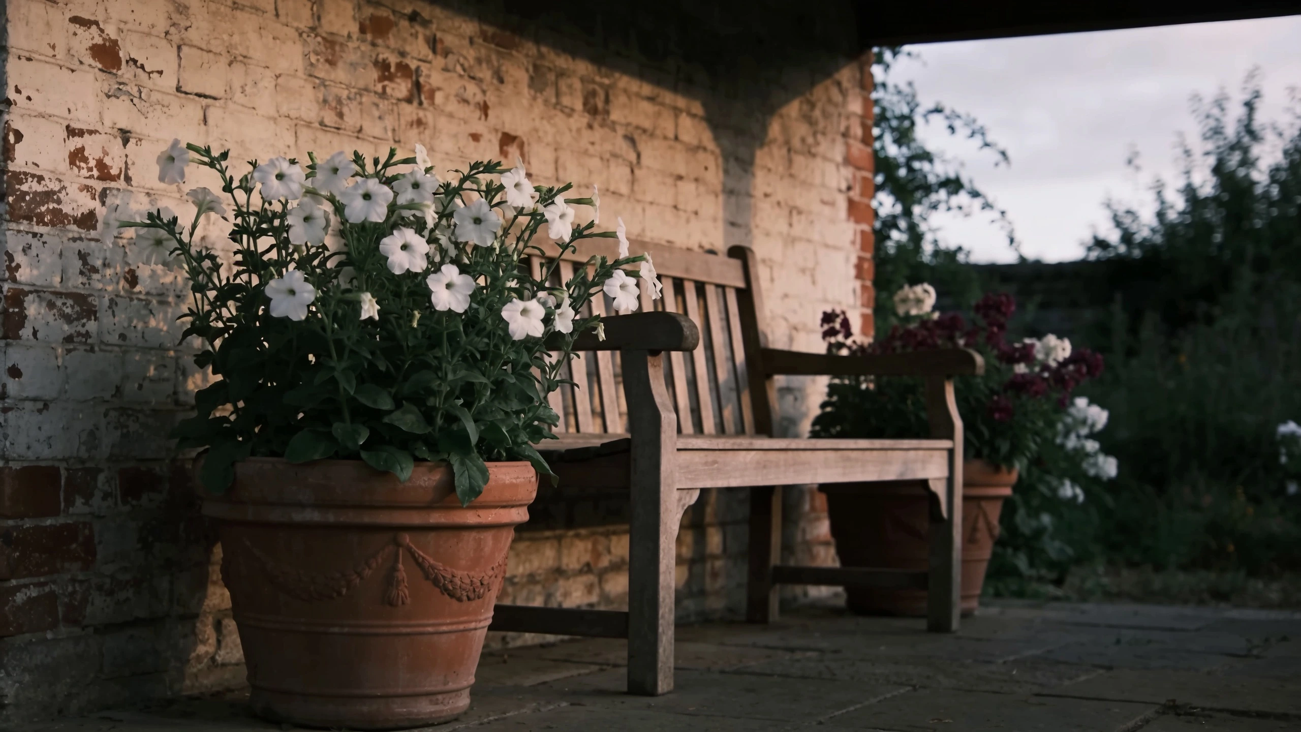 Scented planting within reach of the seat Simple bench with pots of nicotiana and night scented stock beside it against a sheltered wall