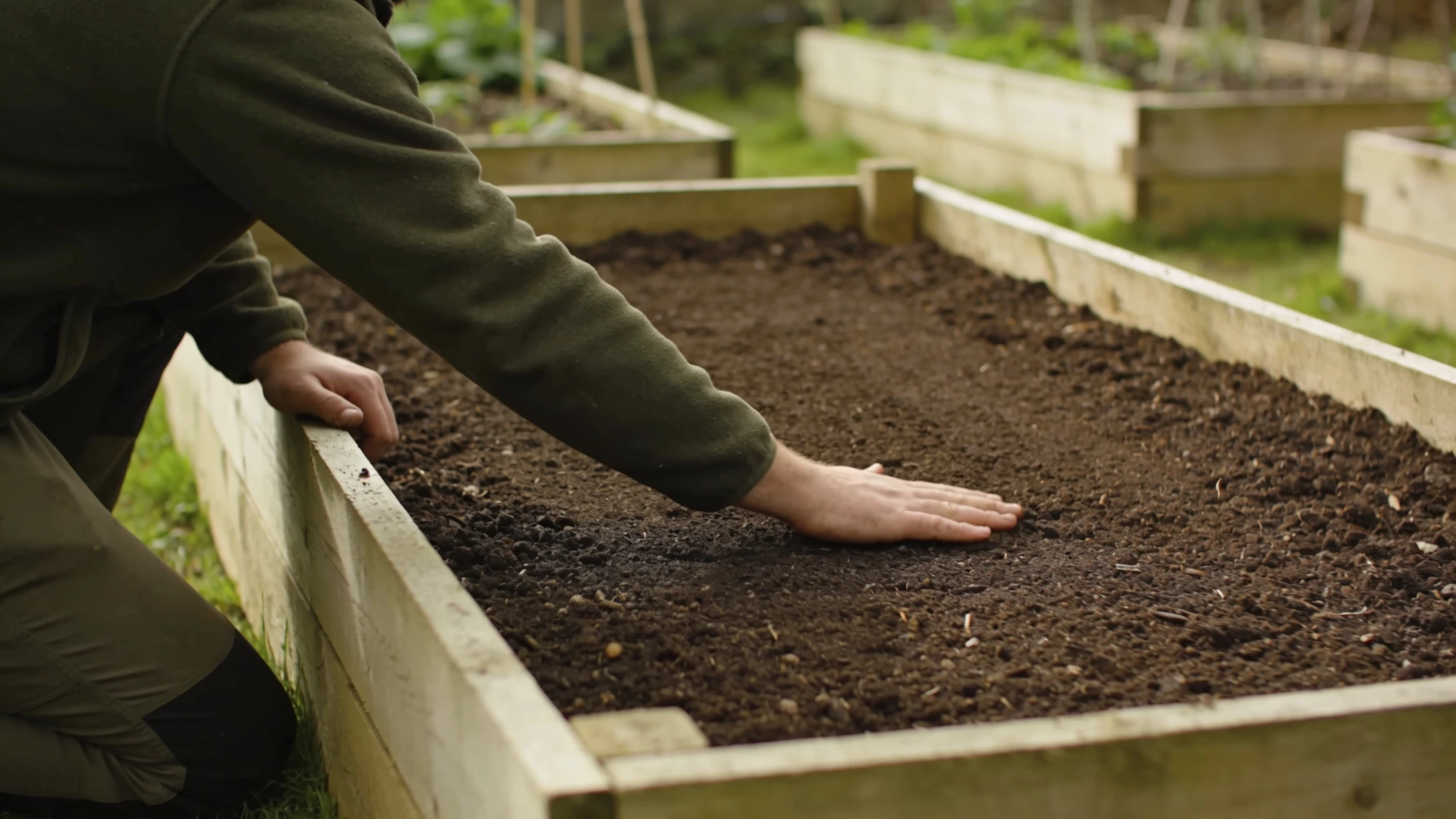Reaching into a four foot wide raised bed Gardener kneeling at a bed edge with arm extended just reaching the middle of the bed