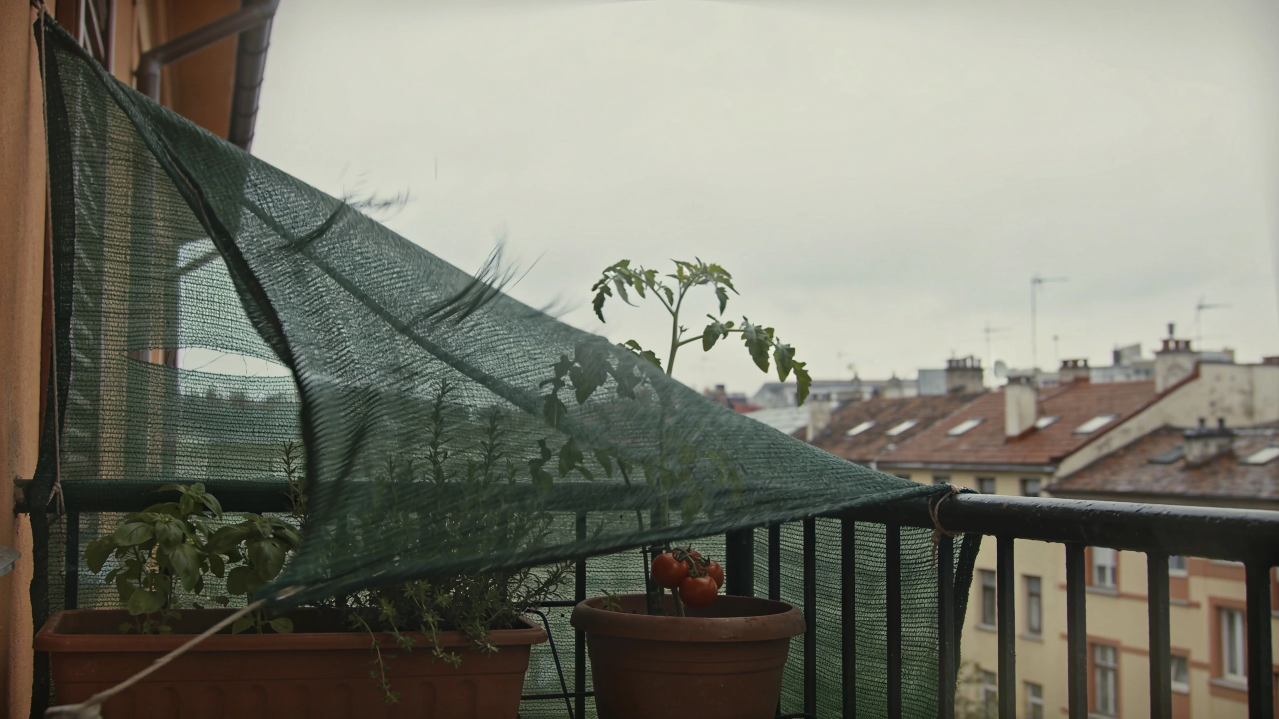 Permeable windbreak mesh on a balcony Fine green mesh fixed to a balcony railing flexing in wind with pots behind